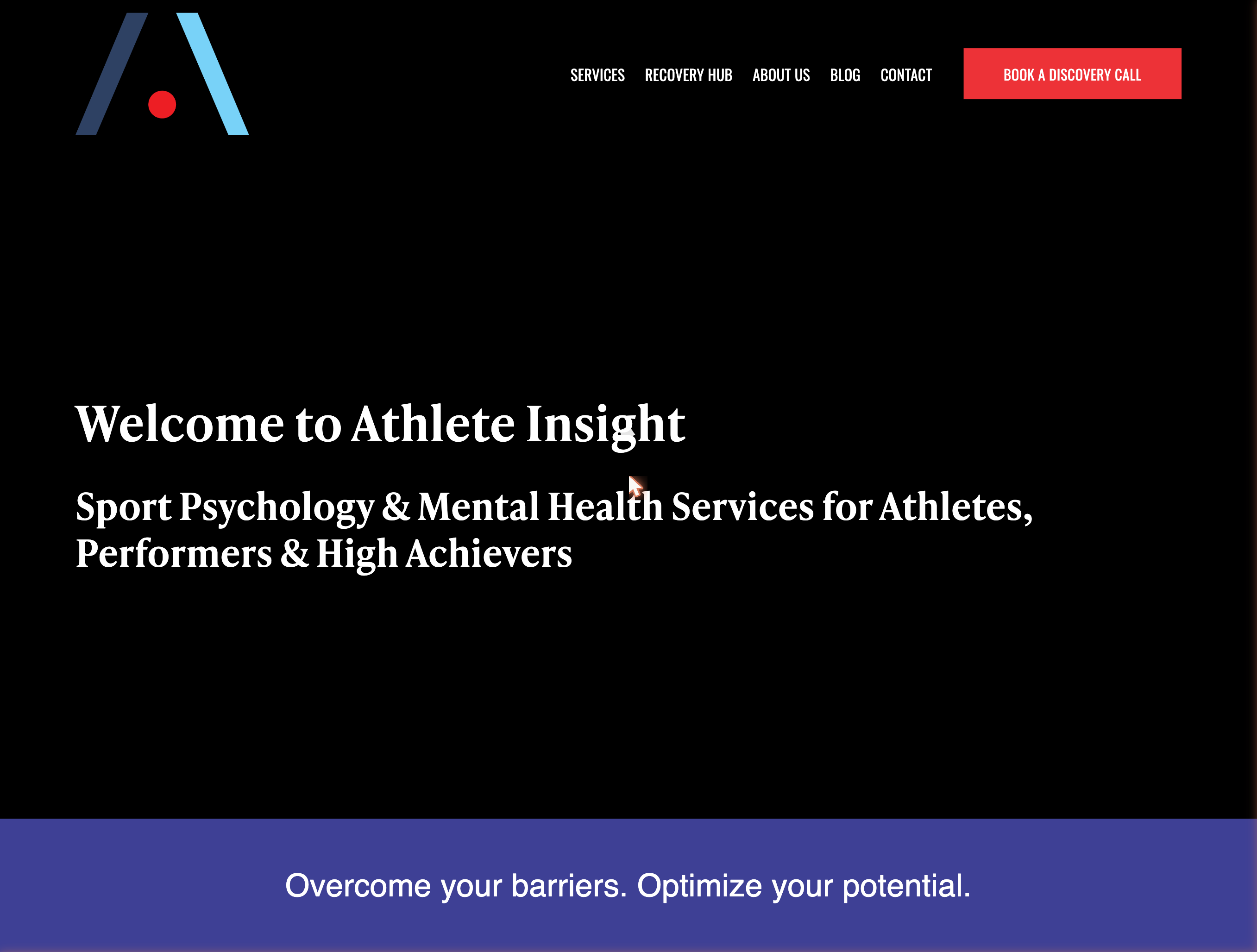 Logo Redesign project sample 2