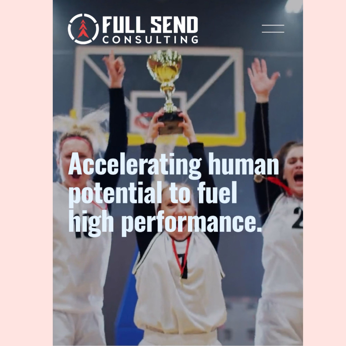 Brand & Website Launch project sample 1