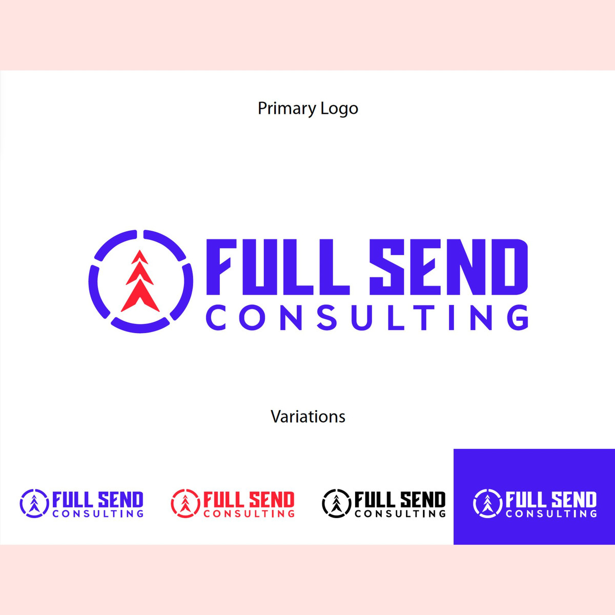 Brand & Website Launch project sample 2